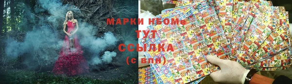мдпв Богородицк