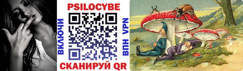 Галлюциногенные грибы прущие грибы omg Воркута