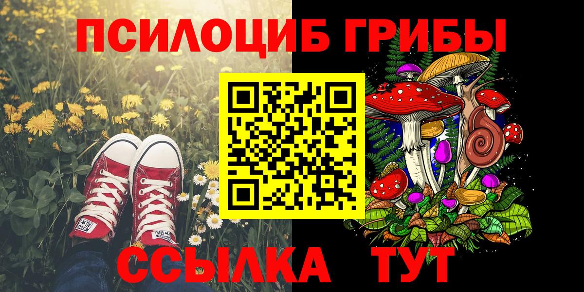Галлюциногенные грибы прущие грибы  Вход с VPN  продажа наркотиков  Воркута 