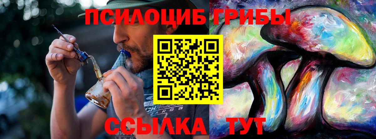 Псилоцибиновые грибы мухоморы Воркута